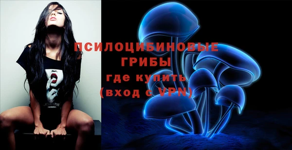 тгк Армянск