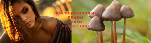 скорость Аркадак