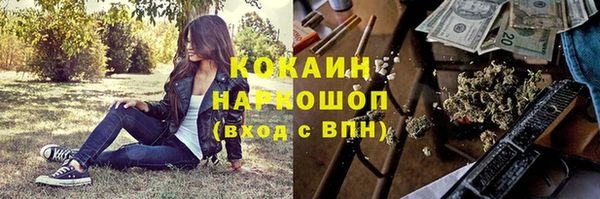 тгк Армянск